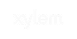 xylem